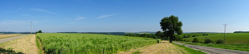 DSC08627 - 2017-06-01 um 10-04-45_180